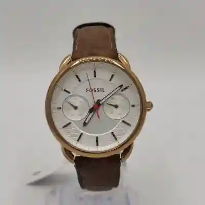 Fossil ES4007