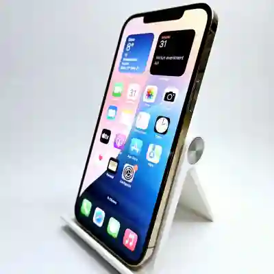 Apple iPhone 12 Pro Max